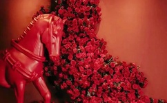 精产国品产品的推荐